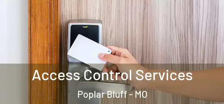  Access Control Services Poplar Bluff - MO