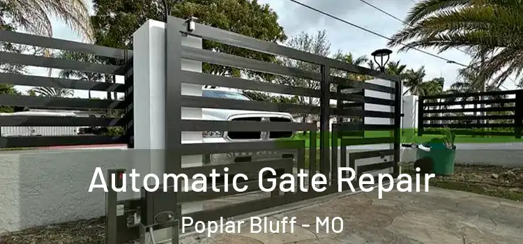  Automatic Gate Repair Poplar Bluff - MO