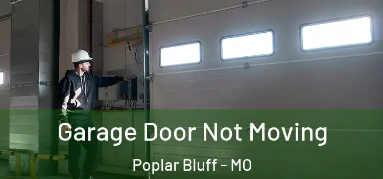  Garage Door Not Moving Poplar Bluff - MO