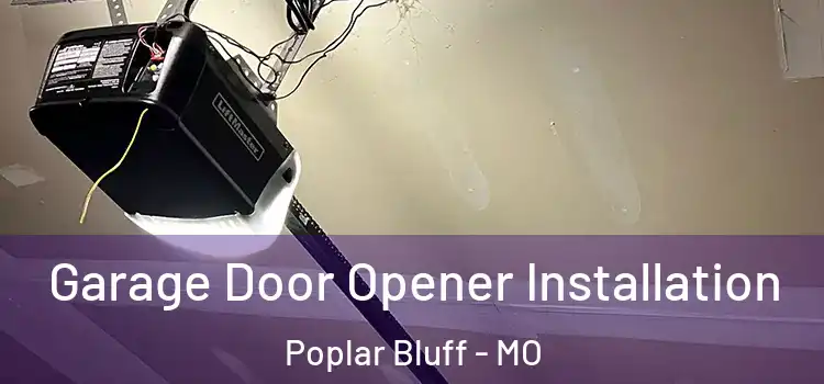  Garage Door Opener Installation Poplar Bluff - MO