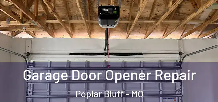  Garage Door Opener Repair Poplar Bluff - MO