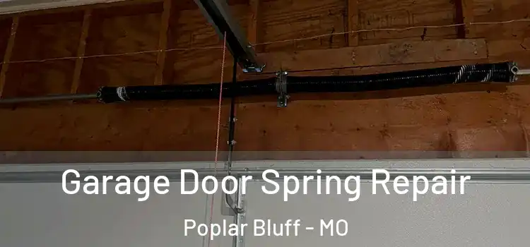  Garage Door Spring Repair Poplar Bluff - MO