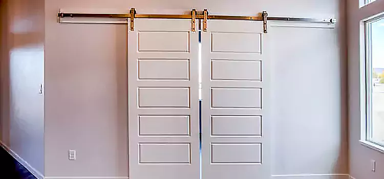 Glass Barn Door with Installation Hardware Kit Poplar Bluff