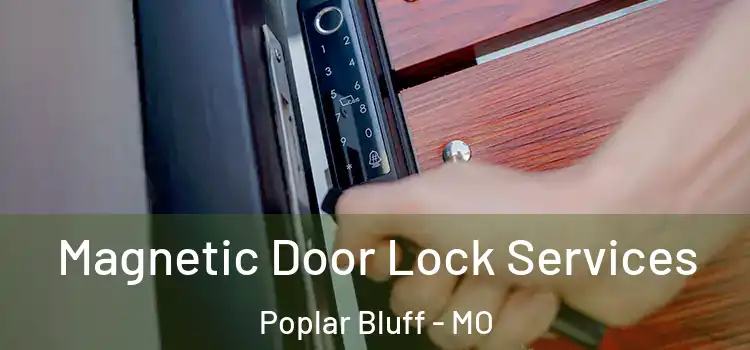  Magnetic Door Lock Services Poplar Bluff - MO